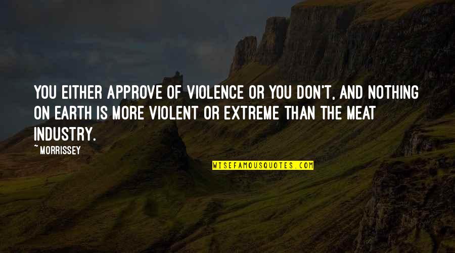 Partner Preference Quotes By Morrissey: You either approve of violence or you don't,