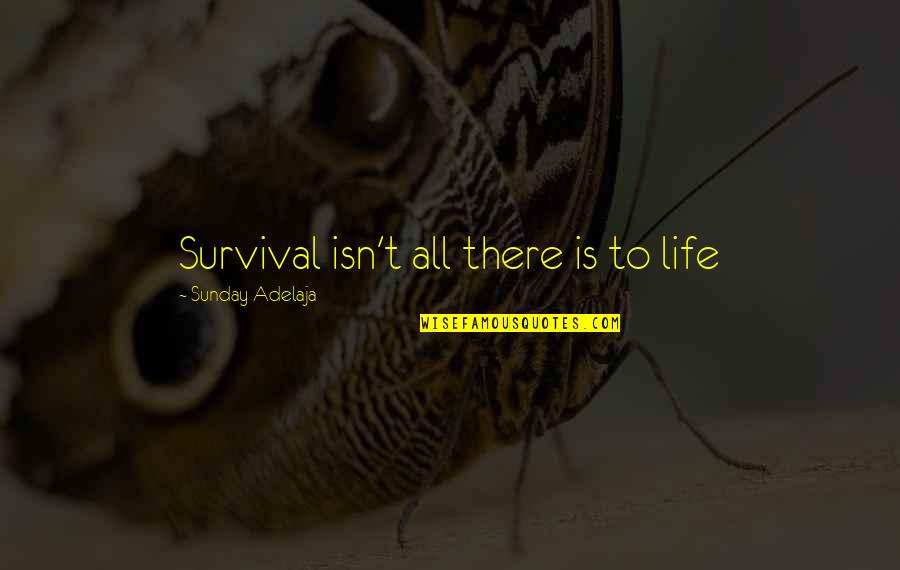 Passion For Your Work Quotes By Sunday Adelaja: Survival isn't all there is to life