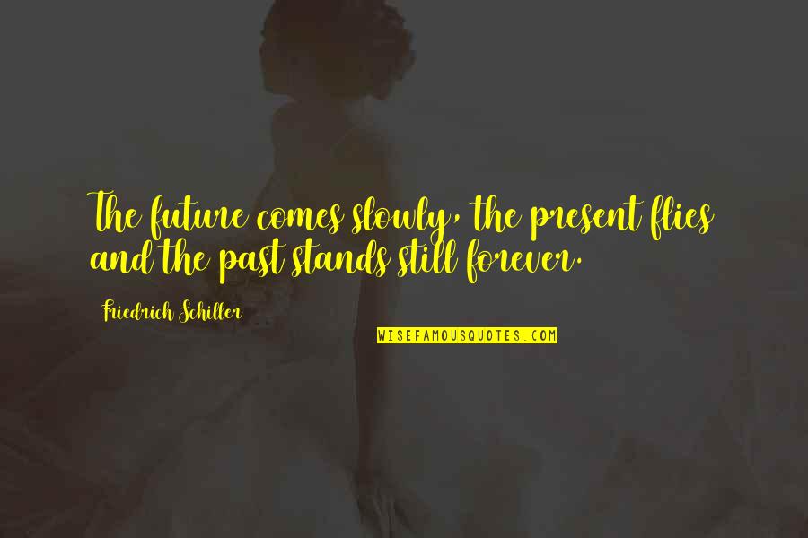 Past And Future Quotes By Friedrich Schiller: The future comes slowly, the present flies and