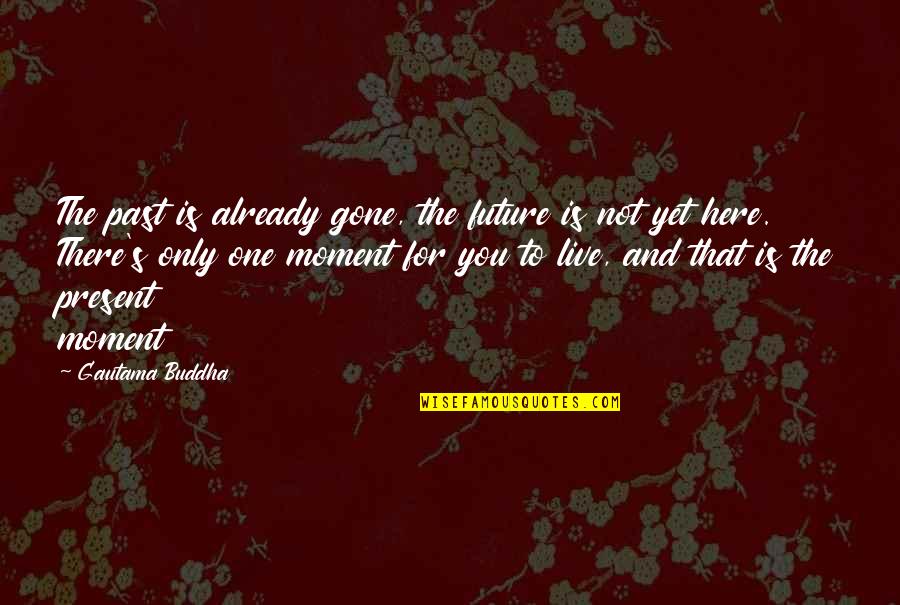 Past Future And Present Quotes By Gautama Buddha: The past is already gone, the future is