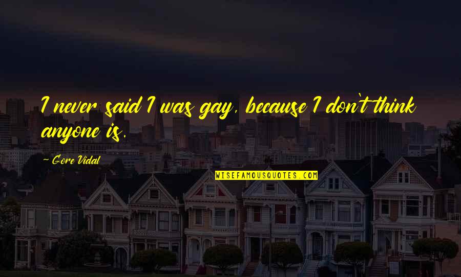 Past Hurting You Quotes By Gore Vidal: I never said I was gay, because I