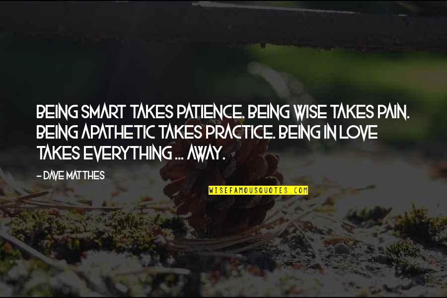 Patience In Life And Love Quotes By Dave Matthes: Being smart takes patience. Being wise takes pain.