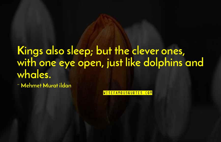 Patricia Lee Lyon Quotes By Mehmet Murat Ildan: Kings also sleep; but the clever ones, with