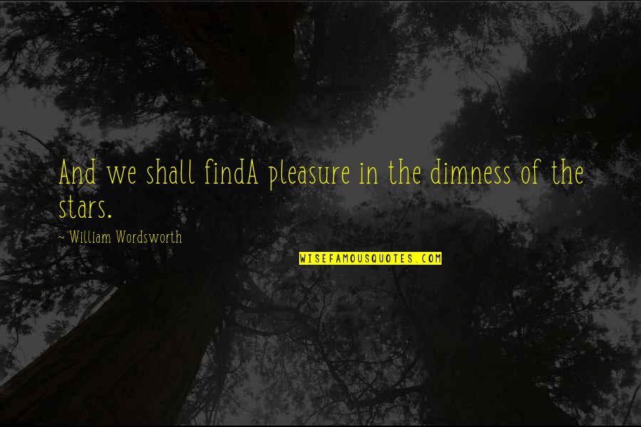 Patrick Morley Quotes By William Wordsworth: And we shall findA pleasure in the dimness