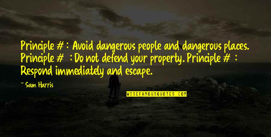 Pattabhishekam Quotes By Sam Harris: Principle #1: Avoid dangerous people and dangerous places.