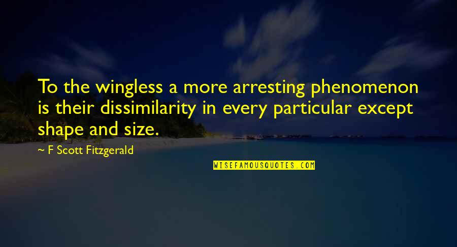Pauliana Viana Quotes By F Scott Fitzgerald: To the wingless a more arresting phenomenon is