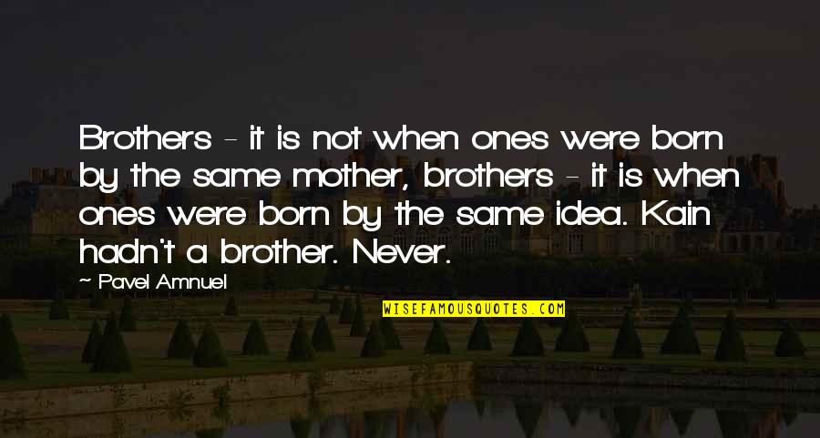 Pavel Quotes By Pavel Amnuel: Brothers - it is not when ones were