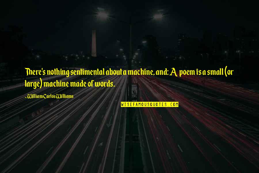 Paviel Rochnyak Quotes By William Carlos Williams: There's nothing sentimental about a machine, and: A