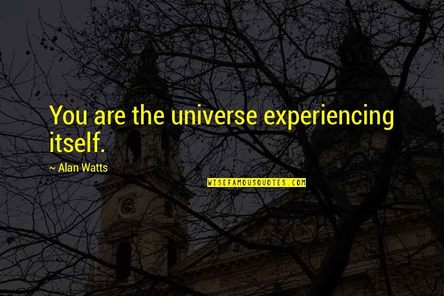 Pavletic Eye Quotes By Alan Watts: You are the universe experiencing itself.