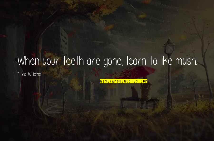 Payaneha Quotes By Tad Williams: When your teeth are gone, learn to like