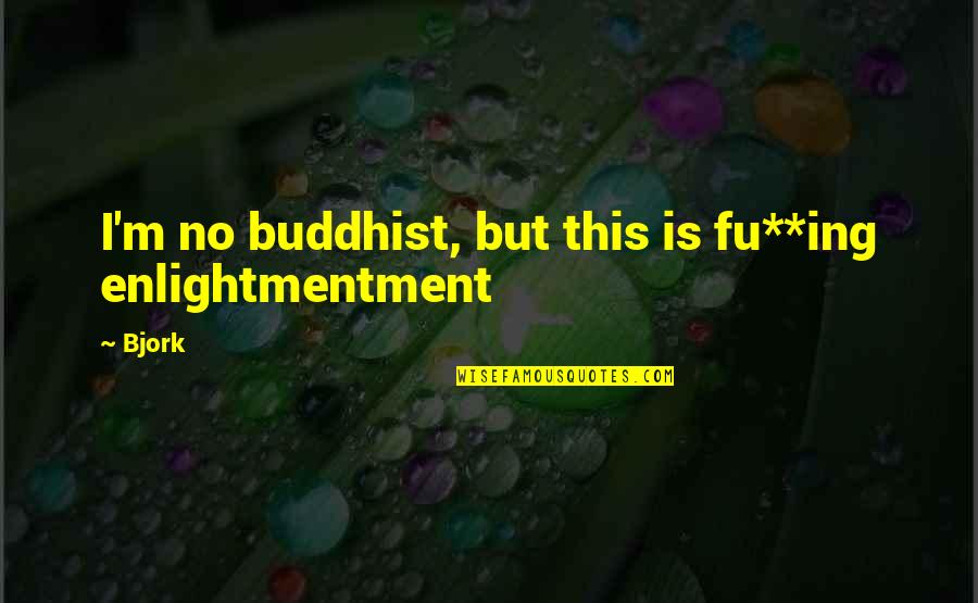 Paying For Quality Quotes By Bjork: I'm no buddhist, but this is fu**ing enlightmentment