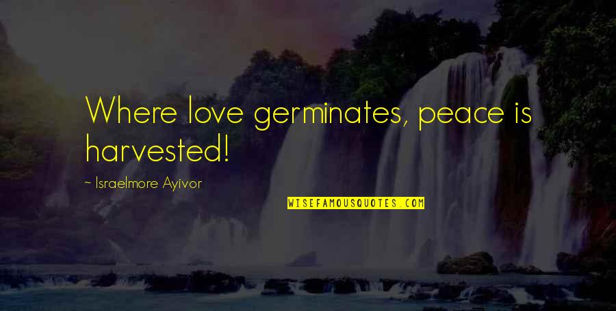Peace Inspiration Quotes By Israelmore Ayivor: Where love germinates, peace is harvested!