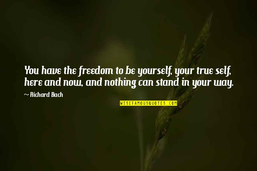 Pedrazzoli Sn Quotes By Richard Bach: You have the freedom to be yourself, your