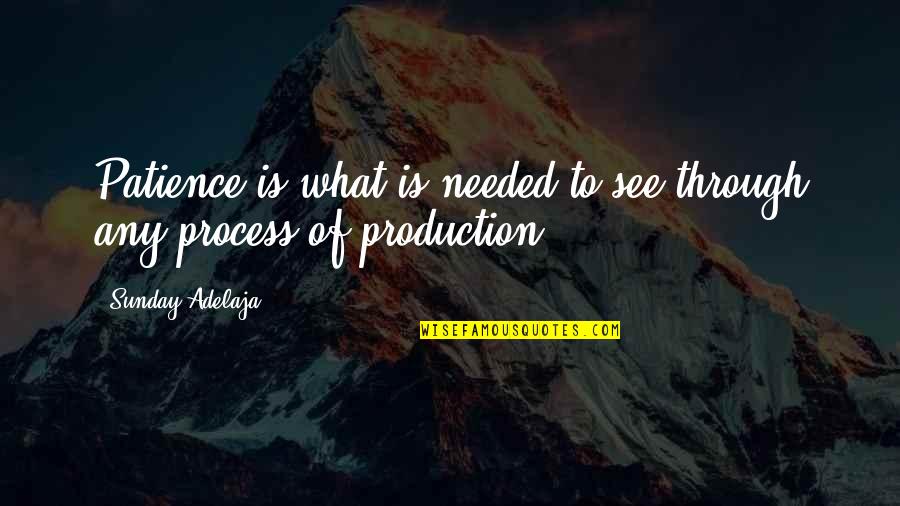 Pee Wee Francis Quotes By Sunday Adelaja: Patience is what is needed to see through