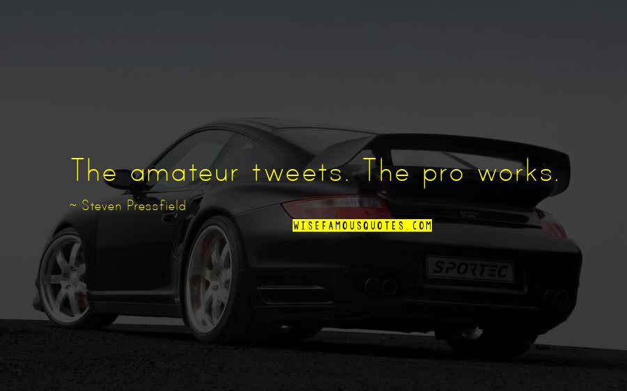 Penezic Dom Quotes By Steven Pressfield: The amateur tweets. The pro works.