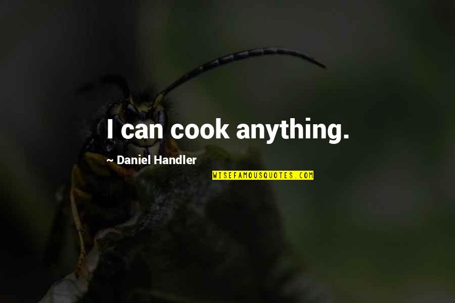 Pengertian Pendidikan Quotes By Daniel Handler: I can cook anything.