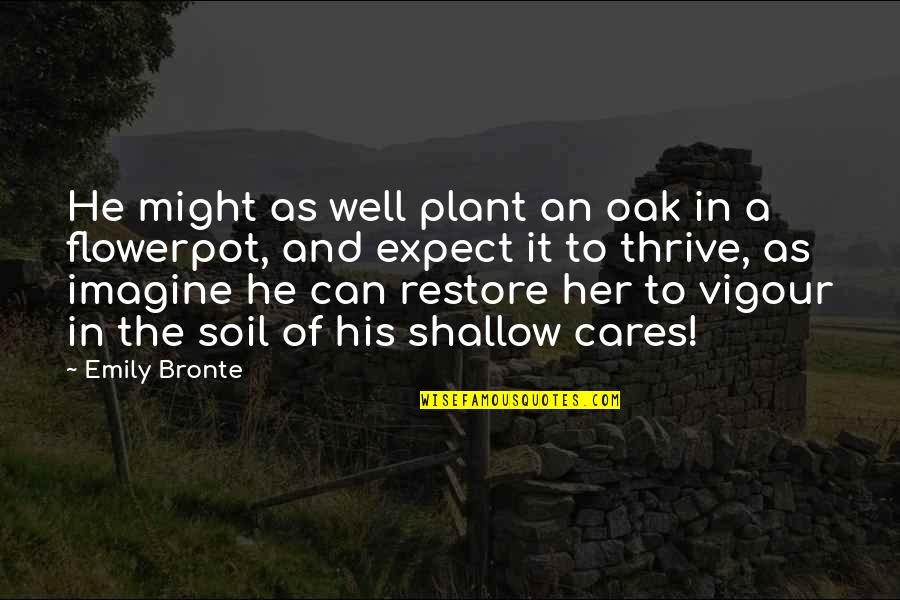 People Not Honest With Themselves Meme Quotes By Emily Bronte: He might as well plant an oak in