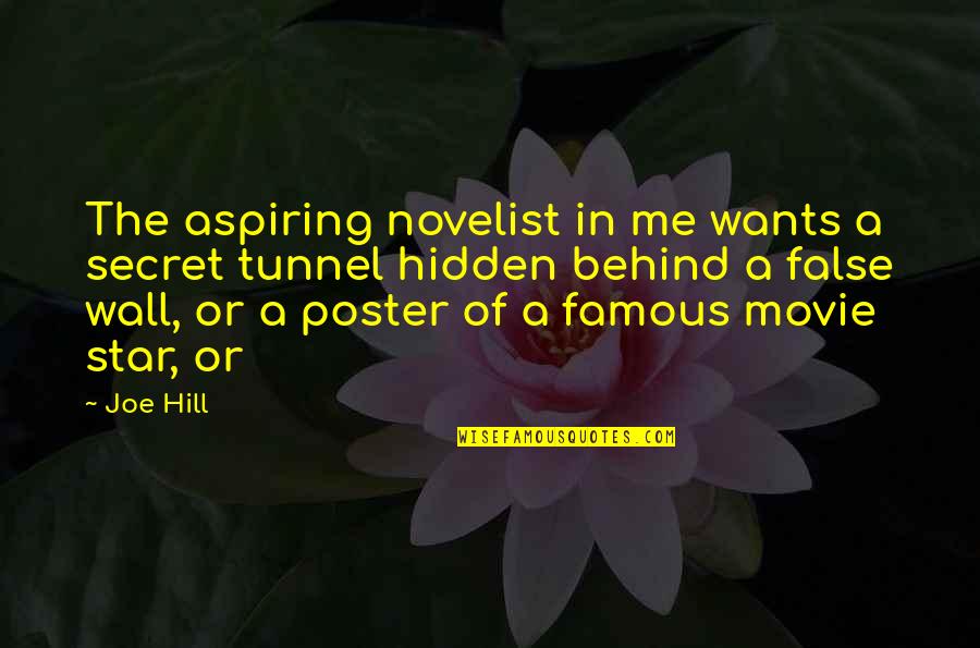 People Who Belittle You Quotes By Joe Hill: The aspiring novelist in me wants a secret