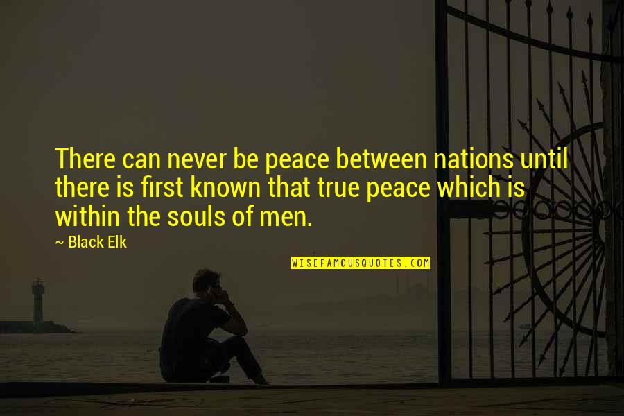 Perfection Job Quotes By Black Elk: There can never be peace between nations until