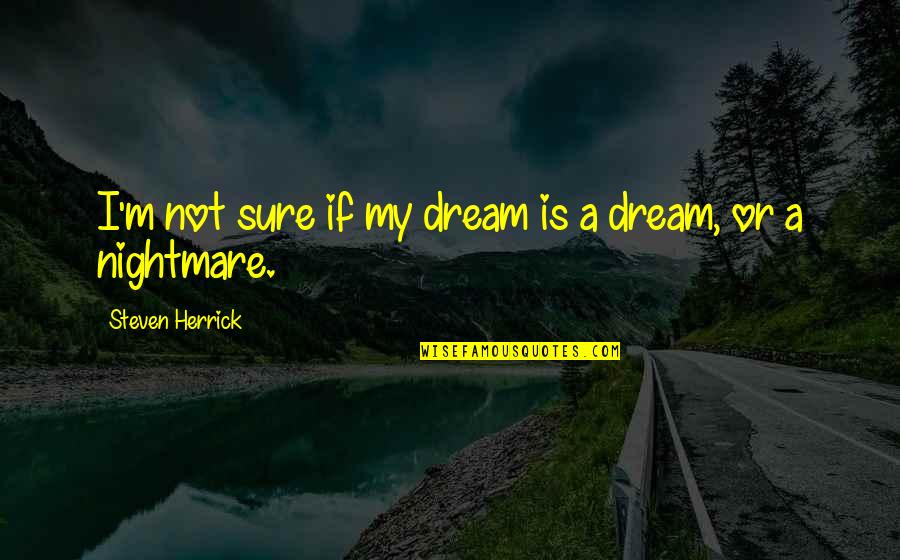 Perkampungan Sepi Quotes By Steven Herrick: I'm not sure if my dream is a
