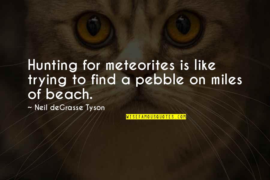 Perlaisie Quotes By Neil DeGrasse Tyson: Hunting for meteorites is like trying to find