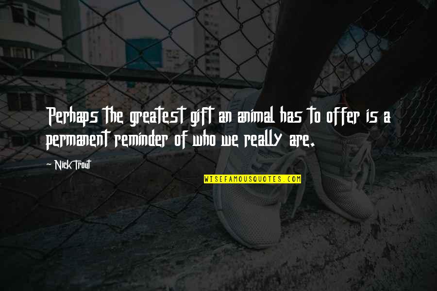 Permanent Love Quotes By Nick Trout: Perhaps the greatest gift an animal has to