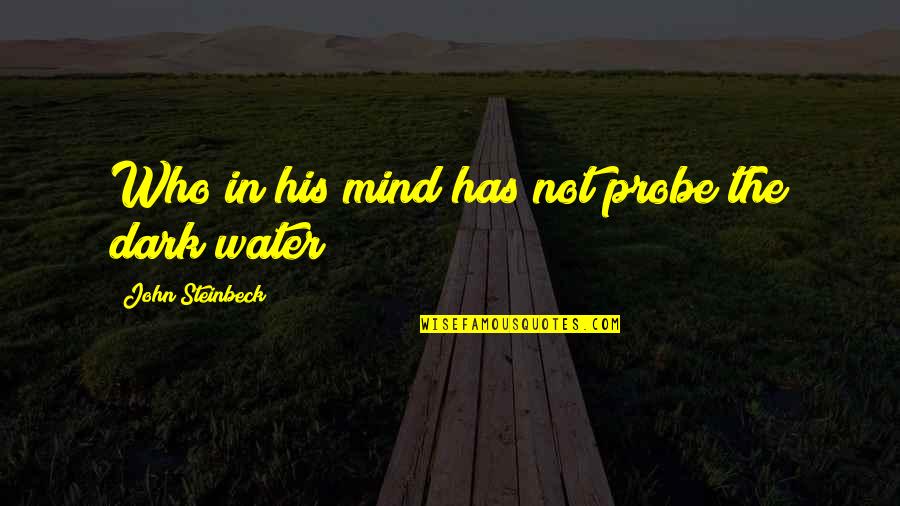 Perozes Quotes By John Steinbeck: Who in his mind has not probe the