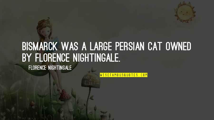 Persian Cat Quotes By Florence Nightingale: Bismarck was a large persian cat owned by