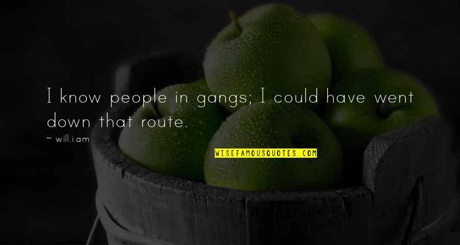 Persistentes Significado Quotes By Will.i.am: I know people in gangs; I could have