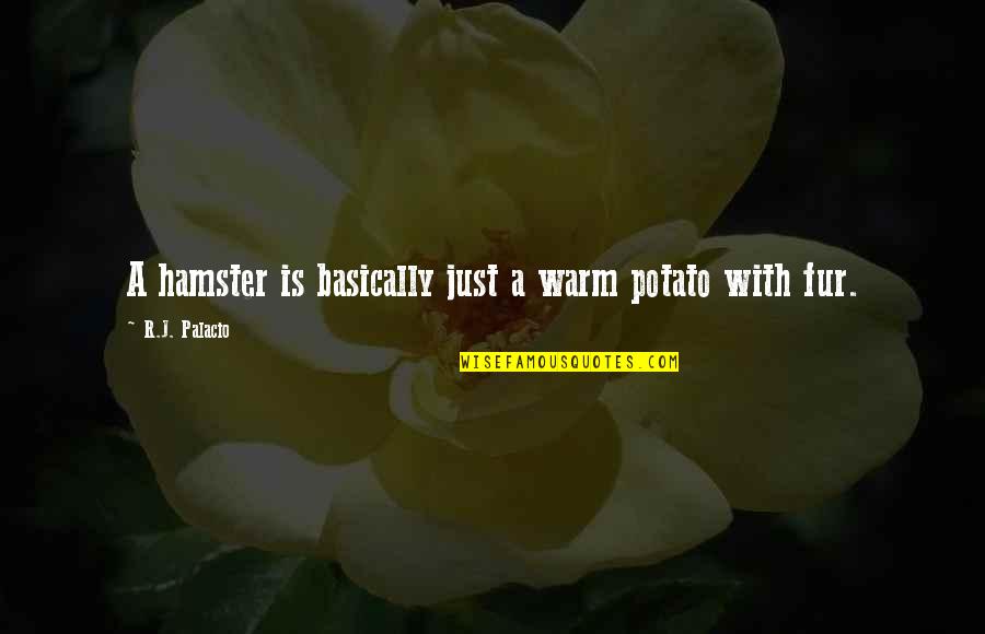 Persoonlijke Gegevens Quotes By R.J. Palacio: A hamster is basically just a warm potato