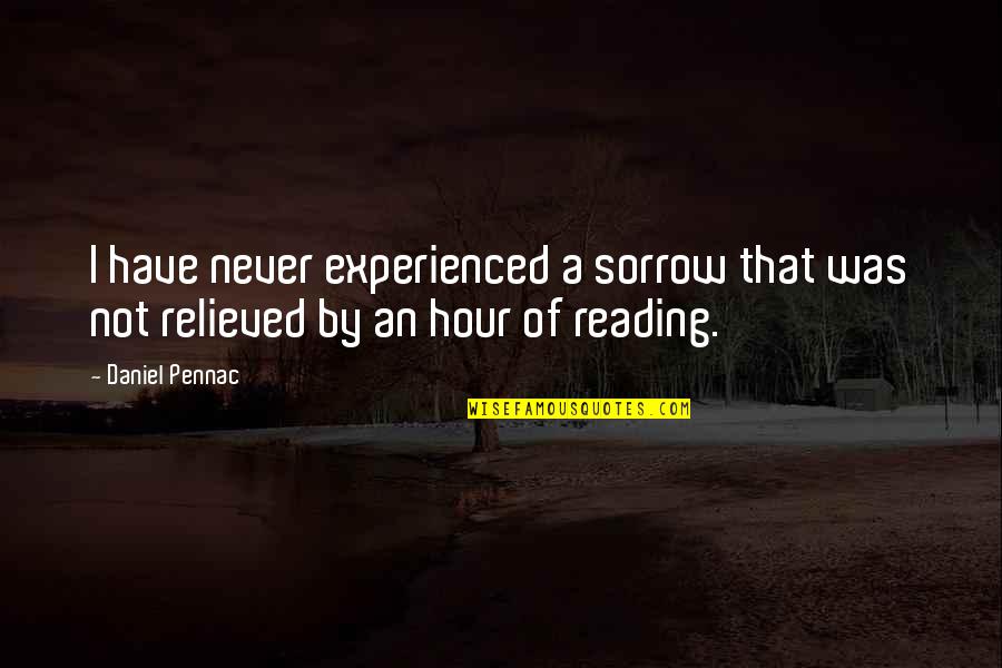 Peserverance Quotes By Daniel Pennac: I have never experienced a sorrow that was