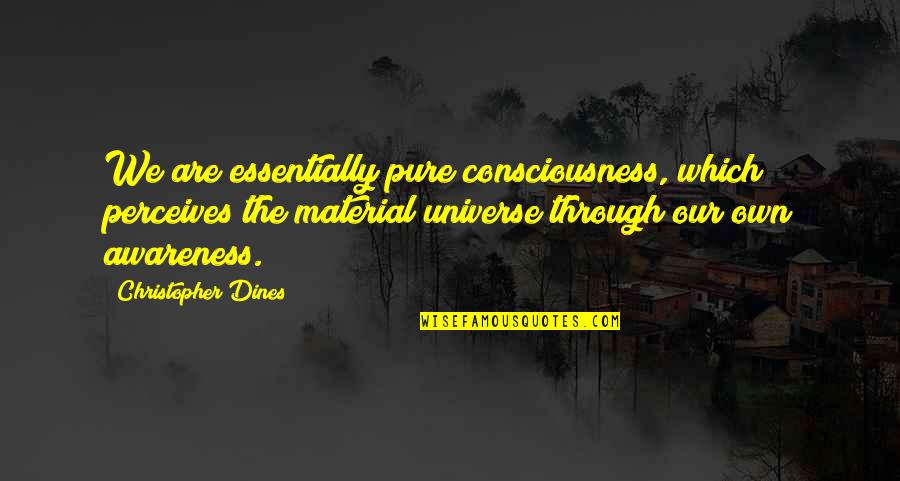 Petite Quotes By Christopher Dines: We are essentially pure consciousness, which perceives the