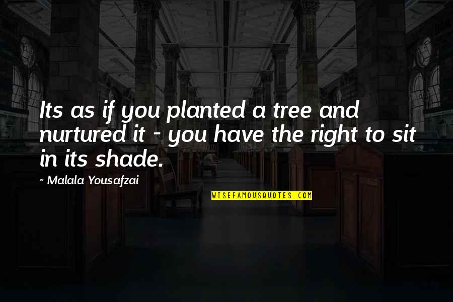 Pettis Norman Quotes By Malala Yousafzai: Its as if you planted a tree and