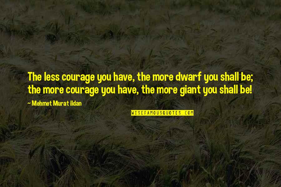 Pewter Mug Quotes By Mehmet Murat Ildan: The less courage you have, the more dwarf