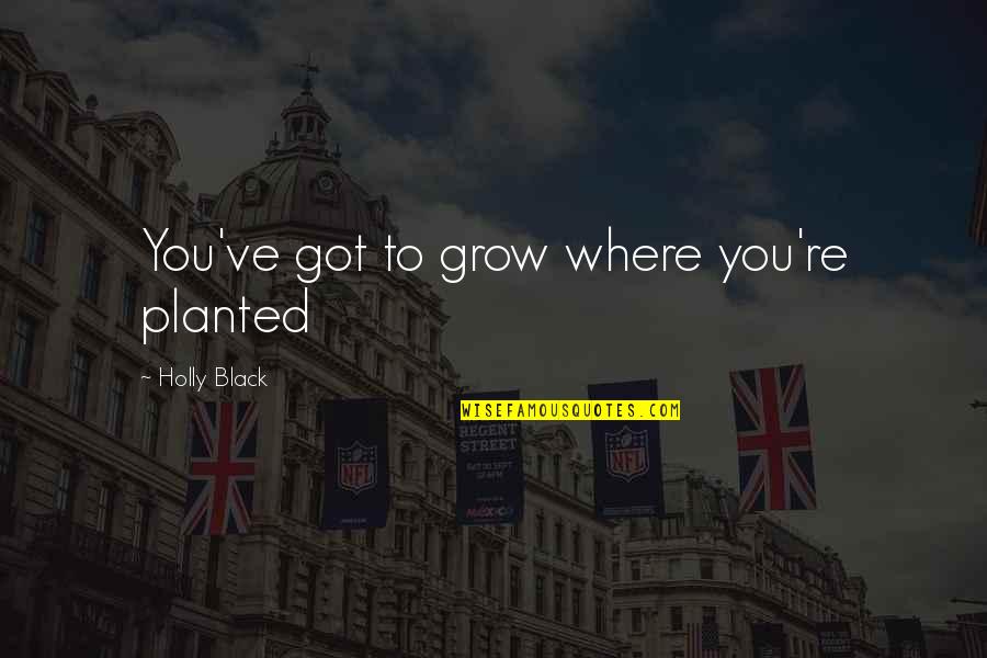 Piasek Piosenki Quotes By Holly Black: You've got to grow where you're planted