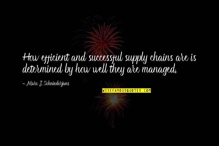 Piershale Crystal Lake Quotes By Marc J. Schniederjans: How efficient and successful supply chains are is