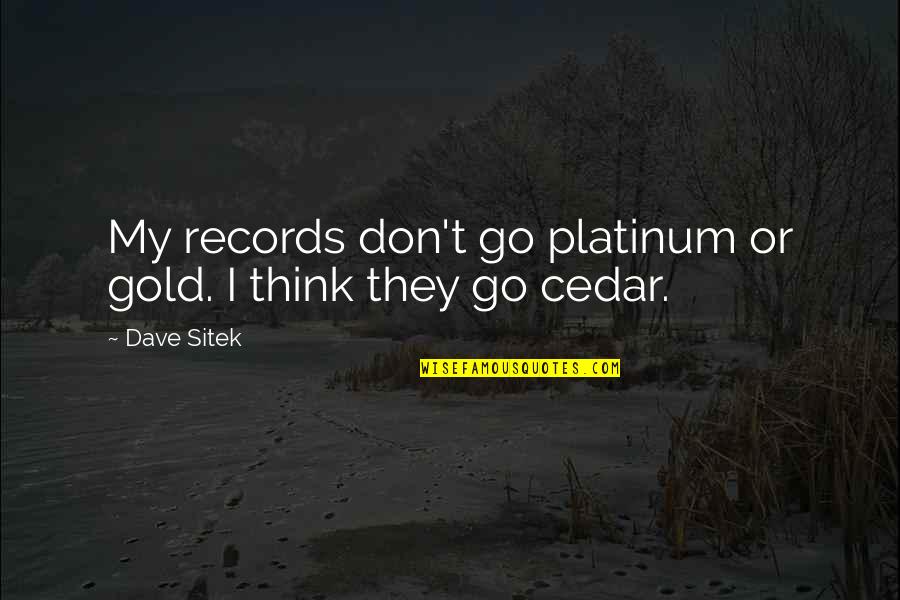 Pinheiro Cleaning Quotes By Dave Sitek: My records don't go platinum or gold. I