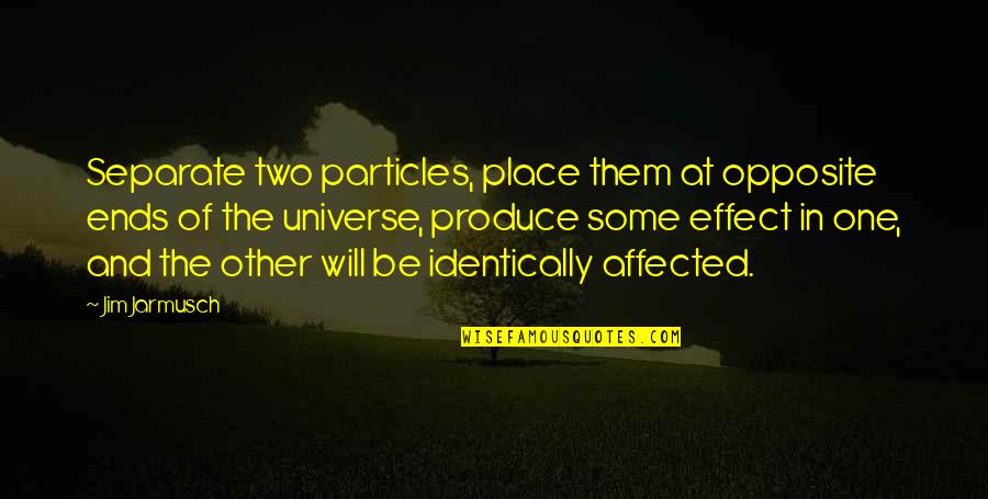 Place In Universe Quotes By Jim Jarmusch: Separate two particles, place them at opposite ends