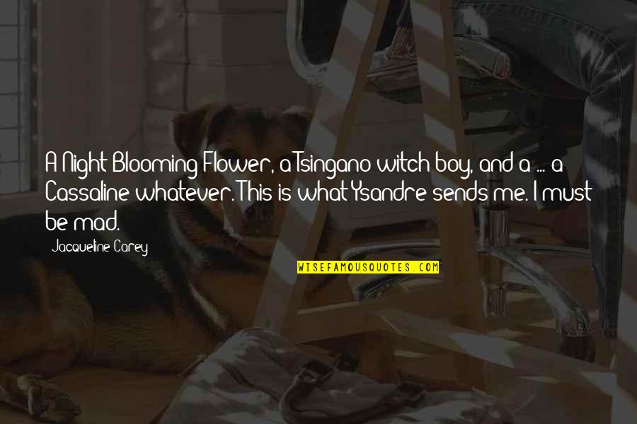 Plaintiffs Plural Possessive Quotes By Jacqueline Carey: A Night-Blooming Flower, a Tsingano witch-boy, and a