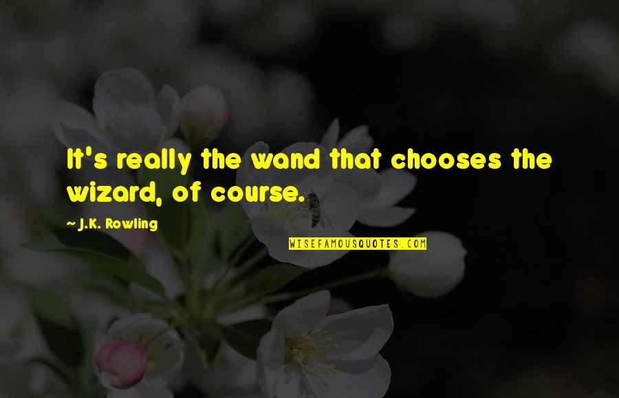 Platonische Akademie Quotes By J.K. Rowling: It's really the wand that chooses the wizard,