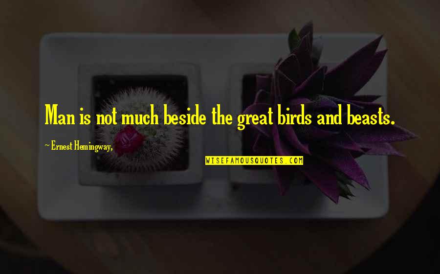 Plautus Pronunciation Quotes By Ernest Hemingway,: Man is not much beside the great birds