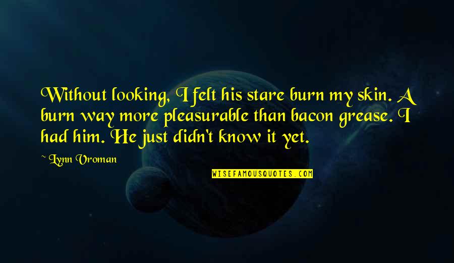 Pleasurable Quotes By Lynn Vroman: Without looking, I felt his stare burn my