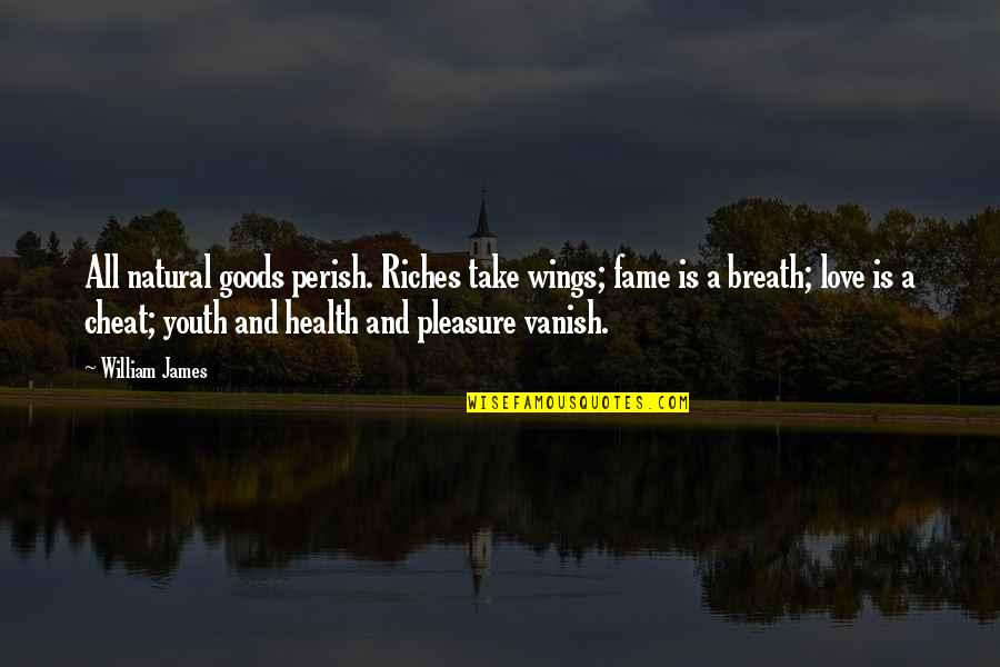 Pleasure And Health Quotes By William James: All natural goods perish. Riches take wings; fame