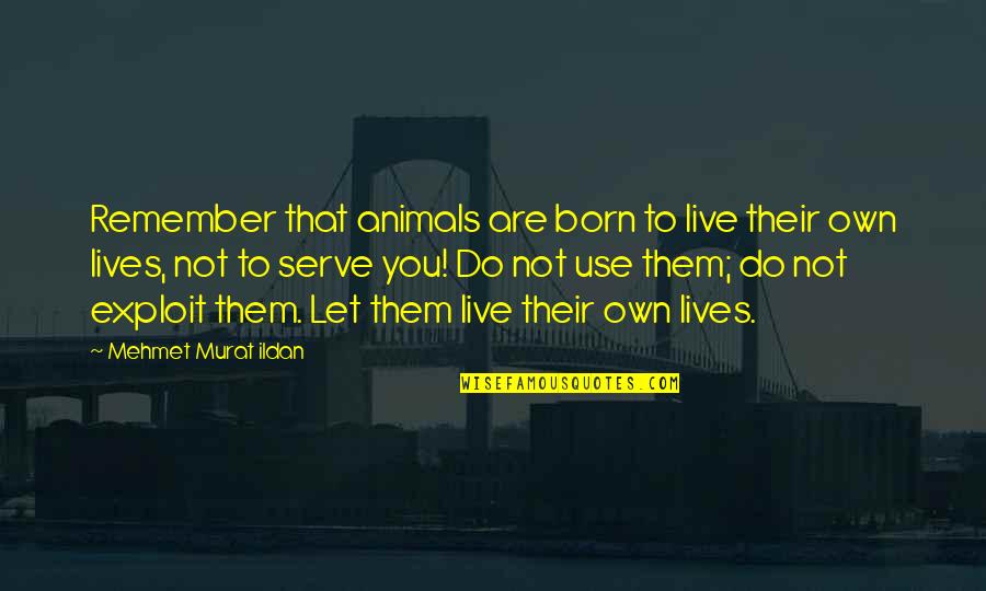 Podstawka Quotes By Mehmet Murat Ildan: Remember that animals are born to live their