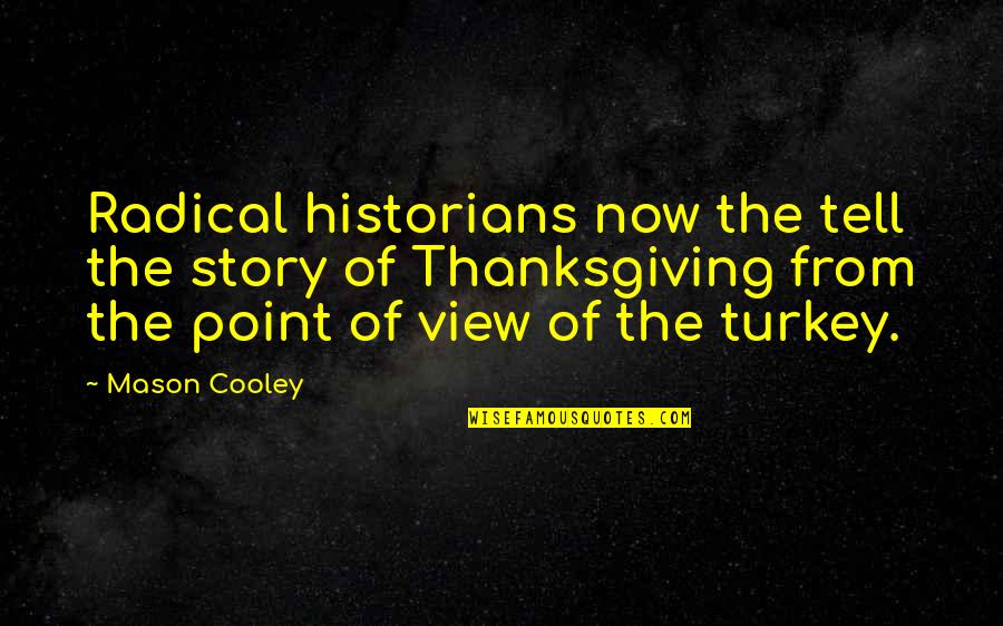 Point Of Views Quotes By Mason Cooley: Radical historians now the tell the story of