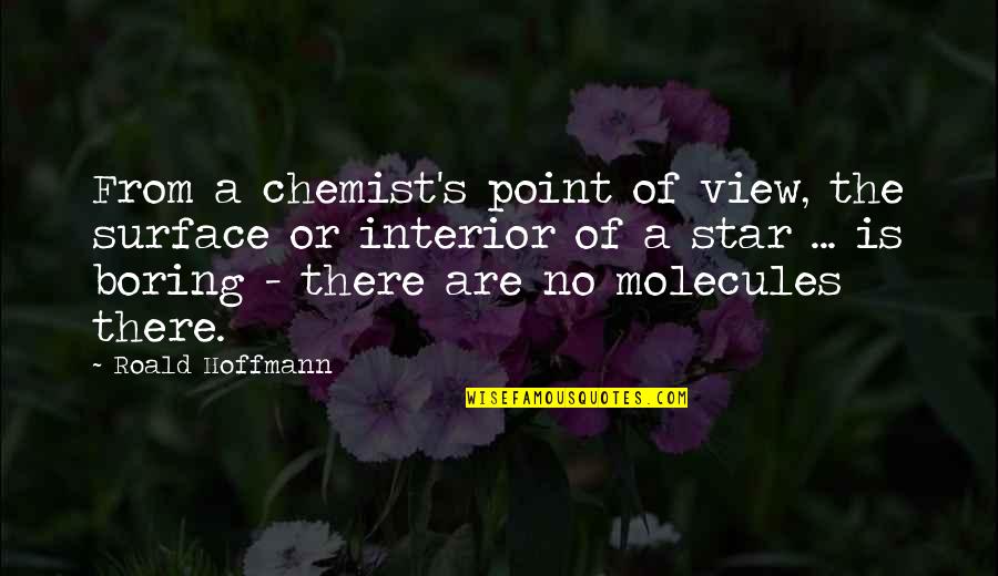 Point Of Views Quotes By Roald Hoffmann: From a chemist's point of view, the surface