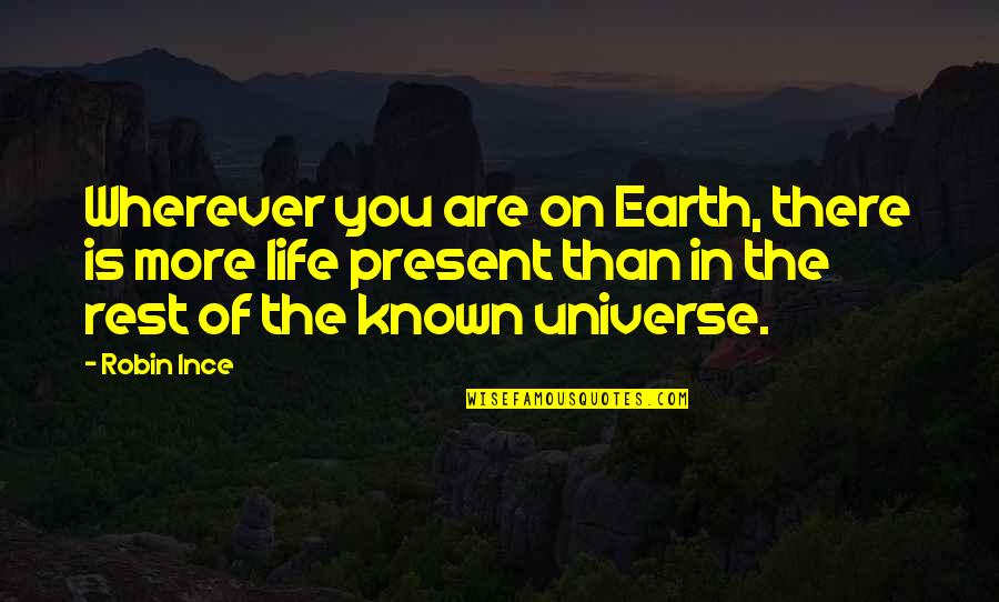 Polchlopek Nh Quotes By Robin Ince: Wherever you are on Earth, there is more