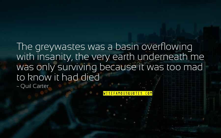 Pollution Quotes By Quil Carter: The greywastes was a basin overflowing with insanity,