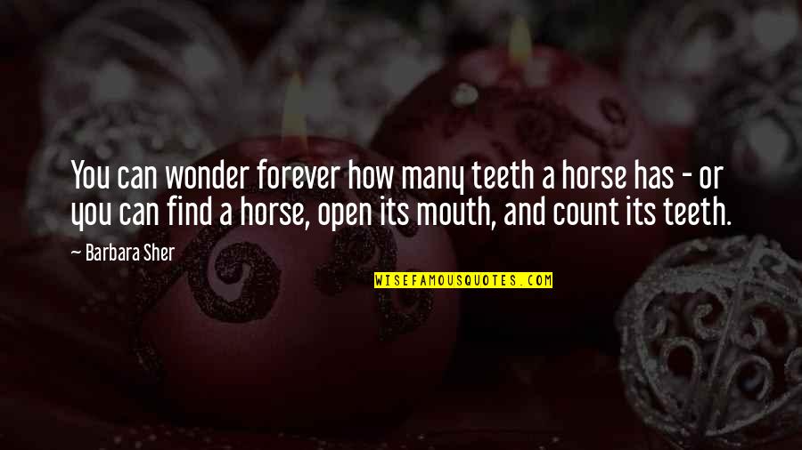 Pongyi Quotes By Barbara Sher: You can wonder forever how many teeth a