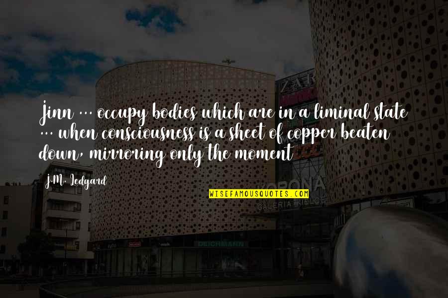 Ponsel Lipat Quotes By J.M. Ledgard: Jinn ... occupy bodies which are in a